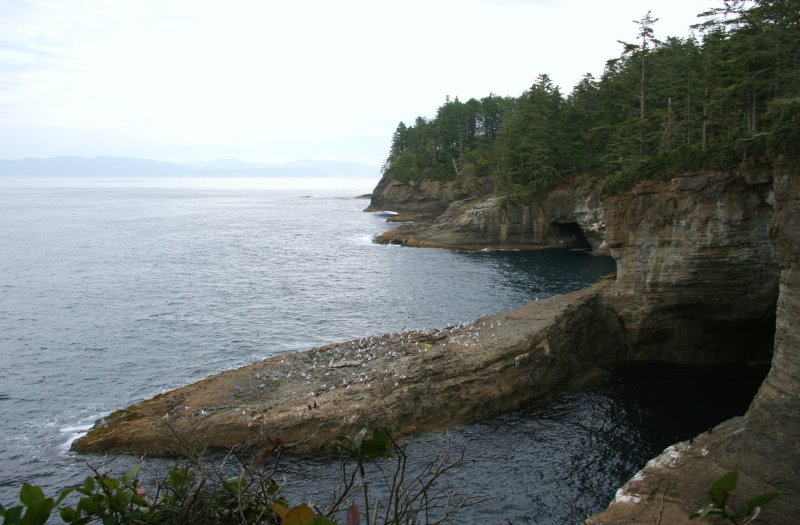 Cape Flattery north view