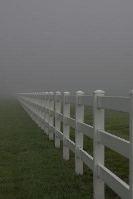 [1st] - White Fence by Michael Rainwater