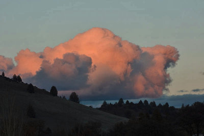 Cotton Candy
