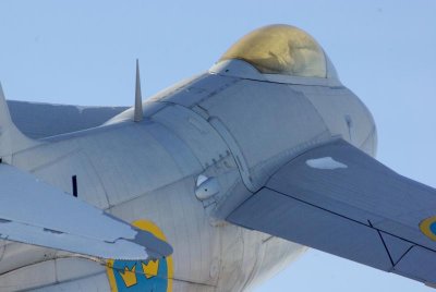 Taking to the Sky