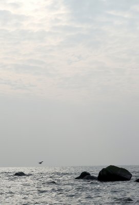Afternoon flight