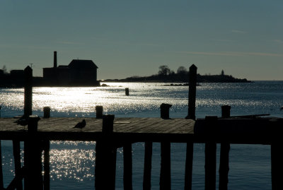 Harbor Lights