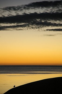 A Walk on the Beach