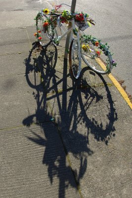 [1st] Ghost Bikes: in memoriam - Betsy