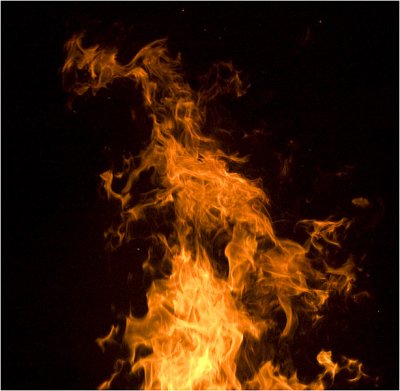 fire dragon (Shane Garrish)