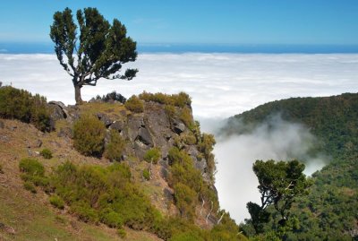 Madeira