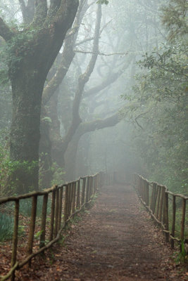 Madeira, Santana