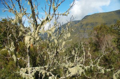 Madeira, Rabacal