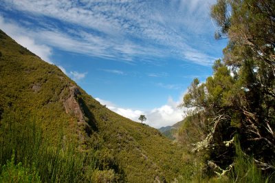 Madeira, Rabacal