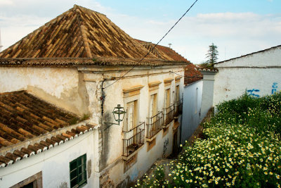 Tavira