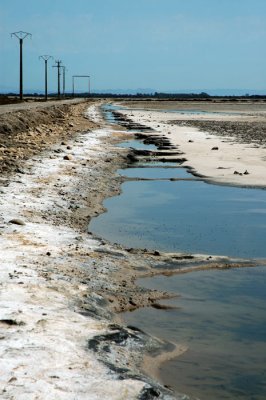 Camargue