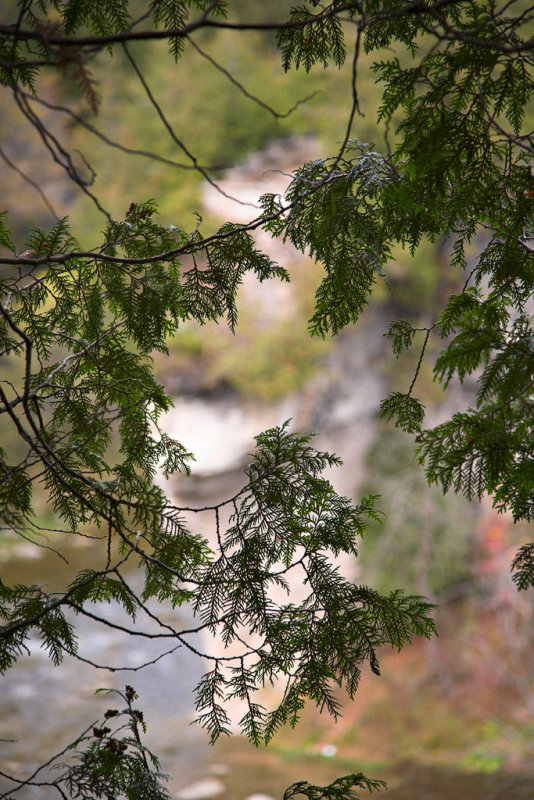 Elora Gorge