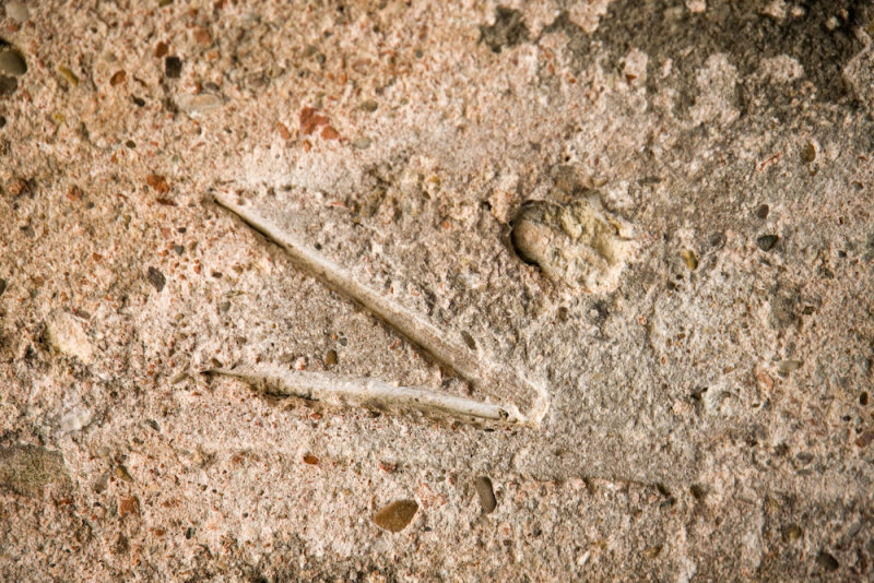 Imprint of Roman tool