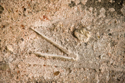 Imprint of Roman tool