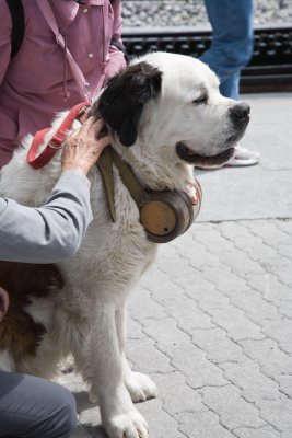 Fido