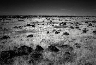 Volcanic stone field