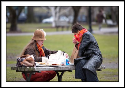 Gourmet lunch in the park