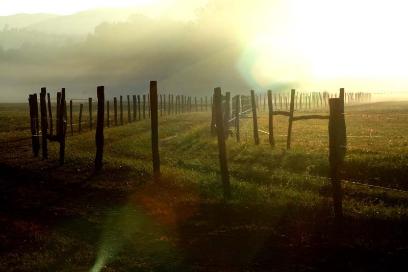 From this mornings trip to Cades Cove