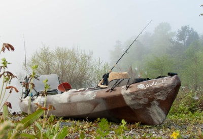 Loyston Point, Norris Lake
