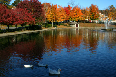 Fountain City Lake