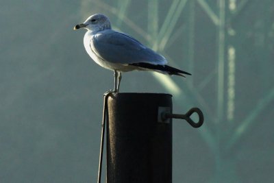 Perched over the Tennessee...