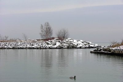 Pc309977.JPG