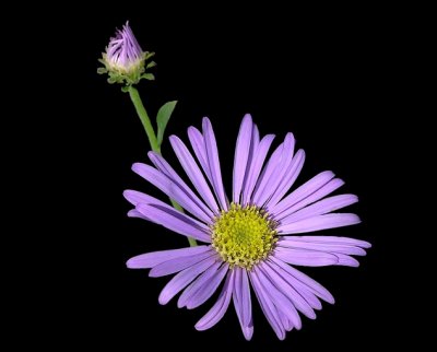 g6/02/417702/3/83374681.F2b6ggqK.jpg