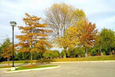 PA012553.JPG