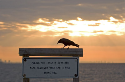 Sanibel Island