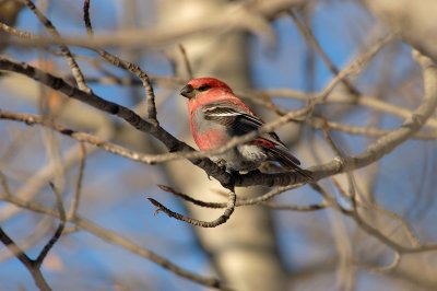 DSC_3630.jpg