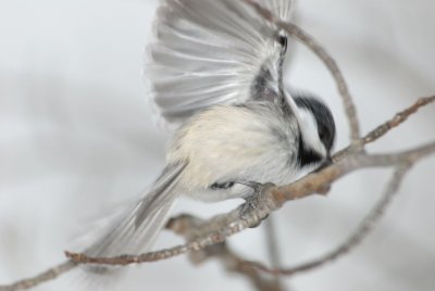 DSC_0030.jpg