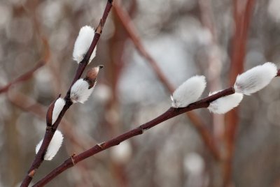 DSC_0058.jpg