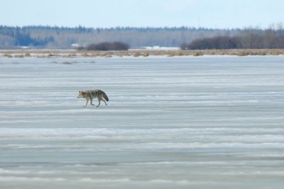 DSC_0172.jpg