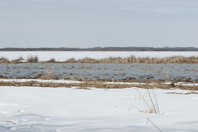 DSC_0323.jpg