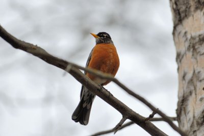 DSC_0845.jpg