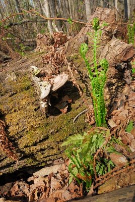 DSC_1130.jpg