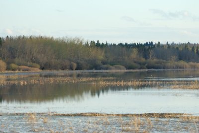 DSC_1009.jpg