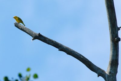 DSC_2356.jpg