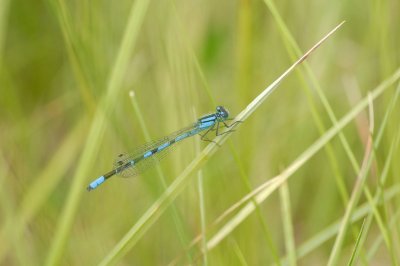 DSC_3011.jpg