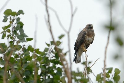 DSC_4501.jpg
