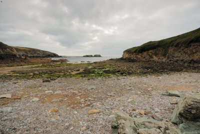 DSC_4984.jpg