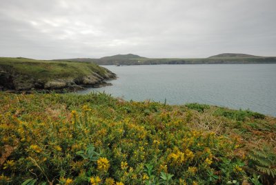 DSC_5017.jpg