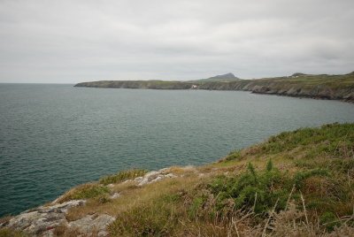 DSC_5019.jpg