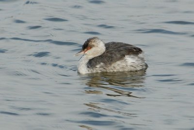 DSC_5650.jpg