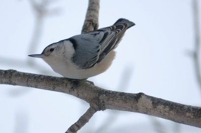 DSC_7225_f.jpg