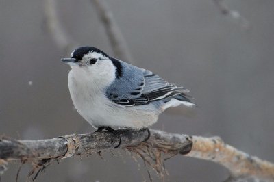 DSC_7281_f.jpg