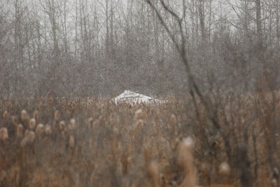 DSC_7318_f.jpg