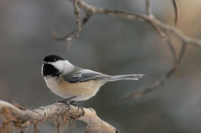 DSC_7213_f.jpg