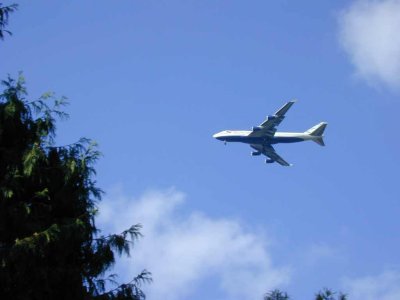 g6/02/44502/3/84036286.j4KL7sdw.jpg