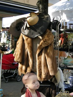 DSCN0491.JPG